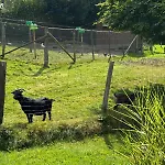 Ambiance Boisee Moustier בית נופש סטומונט