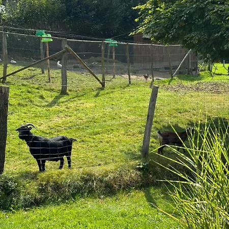 Ambiance Boisee Moustier Dom wakacyjny Stoumont