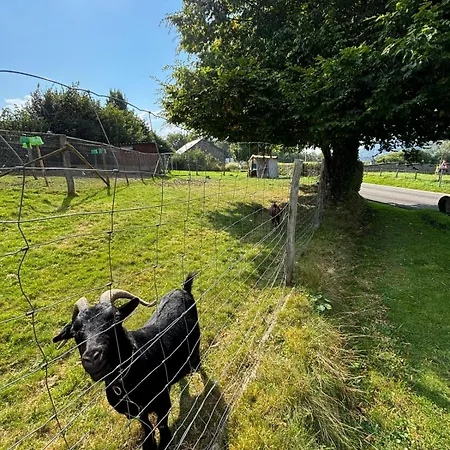 Dom wakacyjny Ambiance Boisee Moustier Stoumont