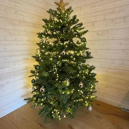 Ambiance Boisee Moustier 스타우몬트